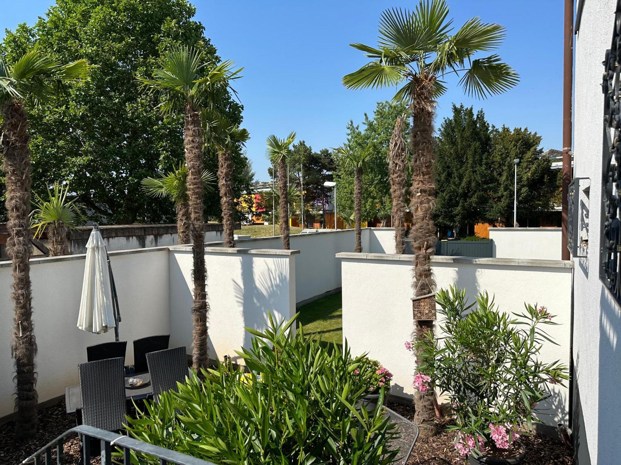 Appartment Moltke Herbolzheim Exterior foto
